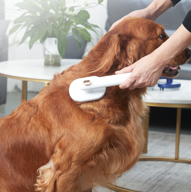 PureGlow self-cleaning pet hair brush with ergonomic handle, designed for easy grooming and hair removal from pets.